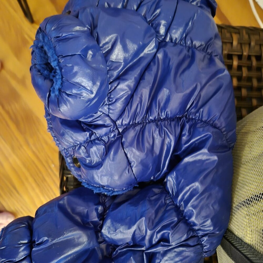 🐩 Clothes and Accessories for Dog Size S or XS - Post 1 of 2 - Picture 9 of 16